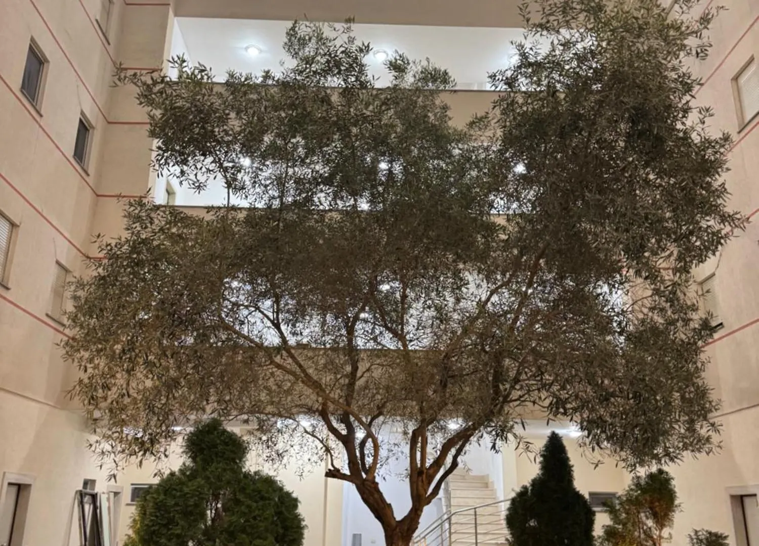 Relax Apartments Golem  Golem (Tirana)